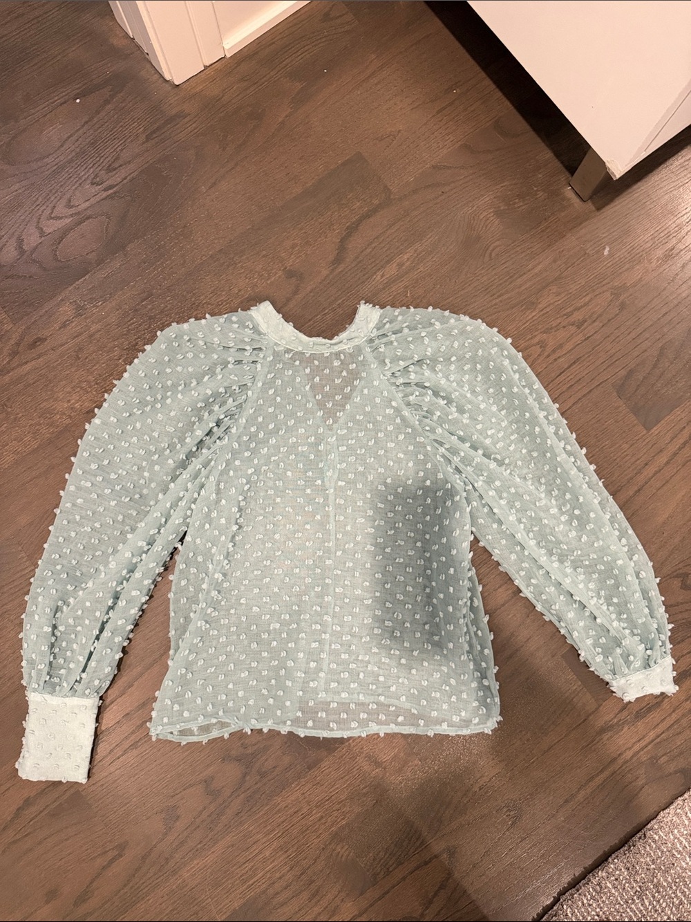 Zara fabric detailed Dot Puff Sleeve Blouse